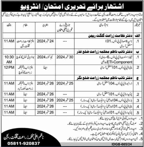 Naib Qasid And Chowkidar Jobs in Gilgit