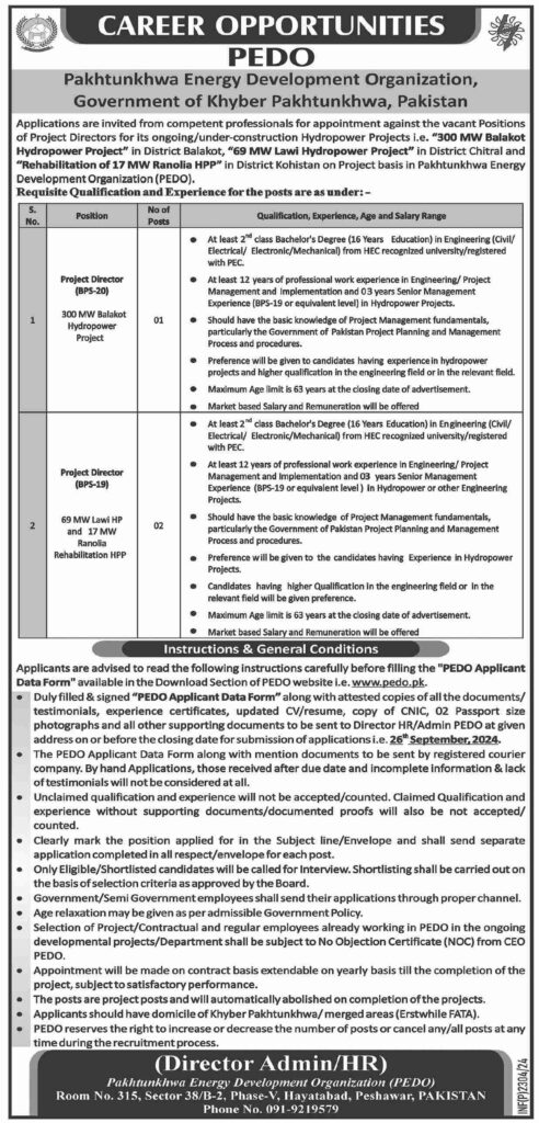 Pakhtunkhwa Energy Development Organization Jobs