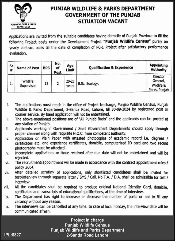 Supervisor Jobs in Lahore