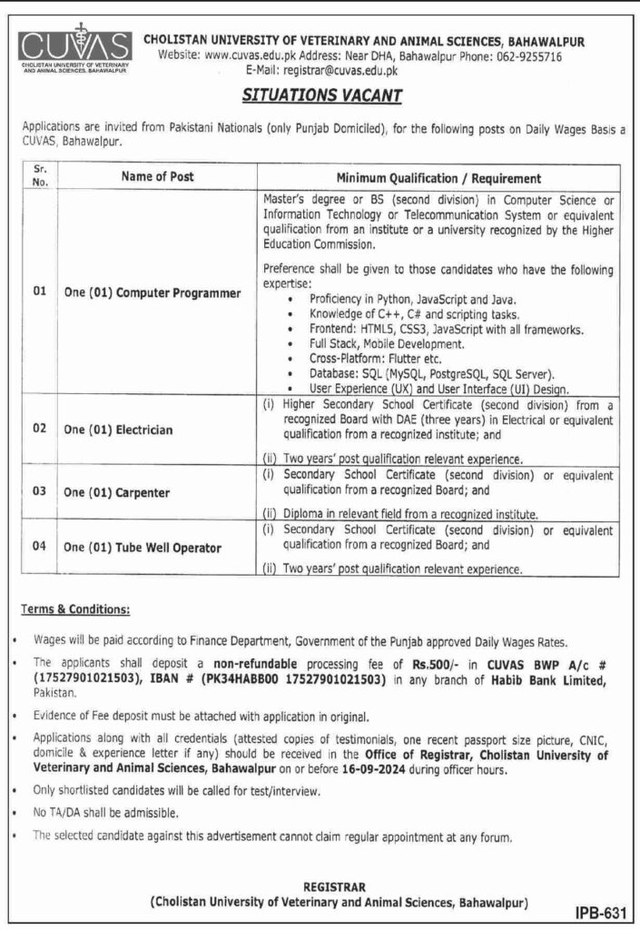 Latest CUVAS Management Jobs Bahawalpur