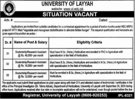 University of Layyah Jobs