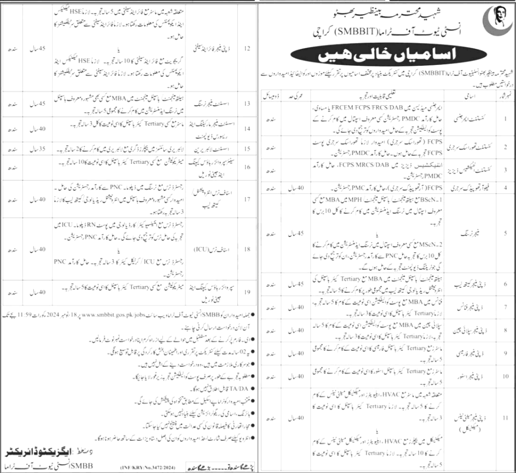 Shaheed Mohtarma Benazir Bhutto Institute Jobs